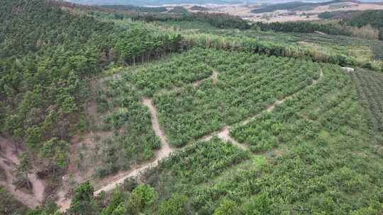 航拍 航拍东北 东北航拍 北方 风景