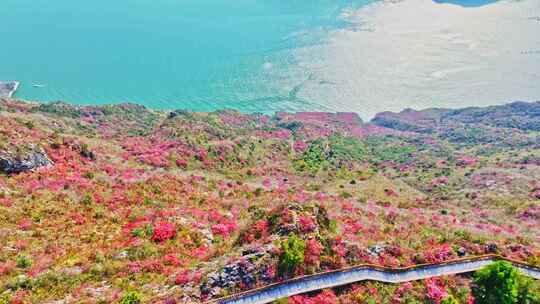 航拍巫峡红叶