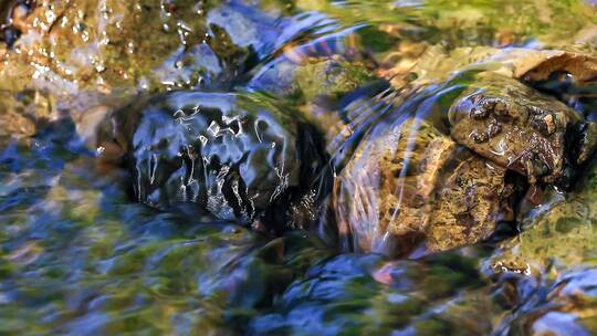 4K自然环保小溪河流山泉水山河溪流实拍素材
