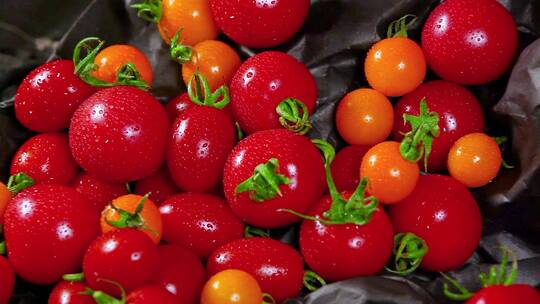 红色水果视频草莓番茄圣女果