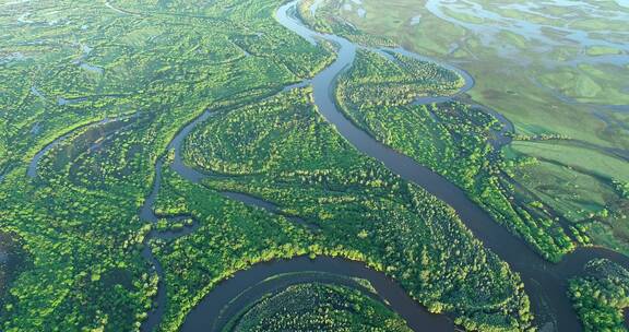 航拍内蒙古“亚洲第一湿地”根河湿地风光