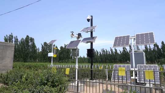 金银花种植基地的太阳能电池板