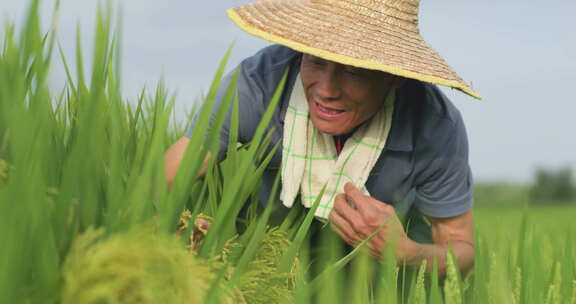 中国农民稻田使用科技设备