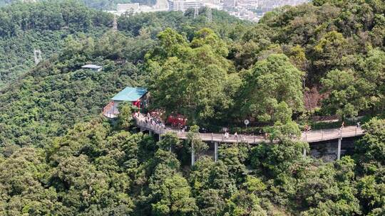 广东观音山国家森林公园第十二届登山大赛