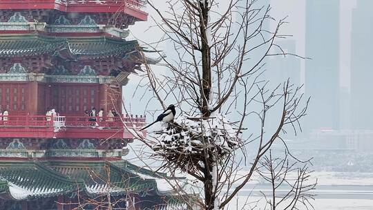 南昌滕王阁雪景1