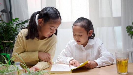 两个读书学习的中国女孩