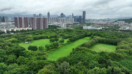 深圳南山区大沙河湿地公园