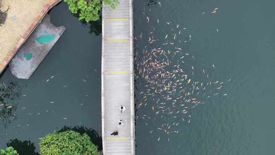 中国广东省广州市番禺区沙湾镇紫坭村宝墨园