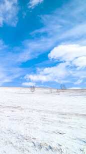 冬季内蒙古乌兰布统蓝天白云雪景