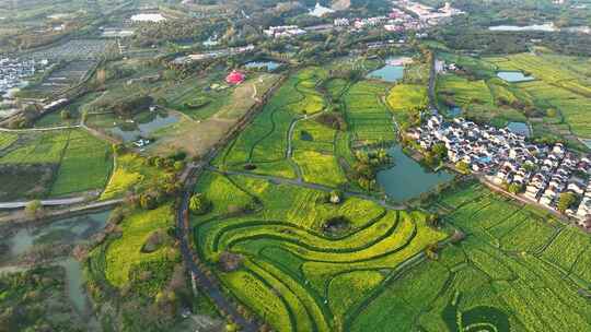 江苏南京高淳区慢城春季油菜花