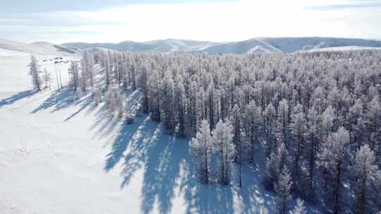 冰雪覆盖的森林和山脉景象