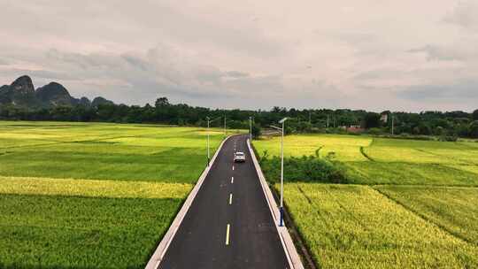 日落时分桂林稻田间乡村公路上行驶的汽车