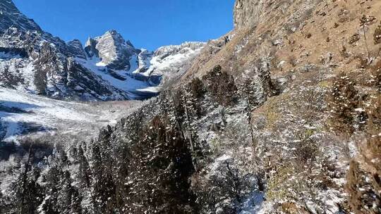 毕棚沟雪山穿越机FPV飞行宣传片森林航拍