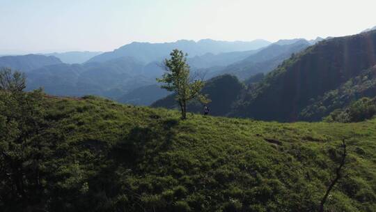 晴天高山草原奔跑行走的少年