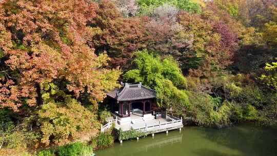 水上古亭秋景图