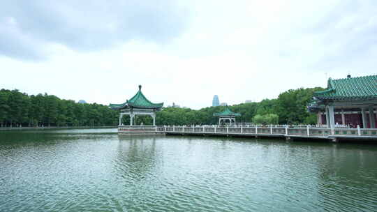 武汉东湖风景区碧潭观鱼