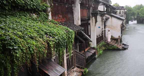 （慢镜）江南古镇大雨屋檐下的爬山虎