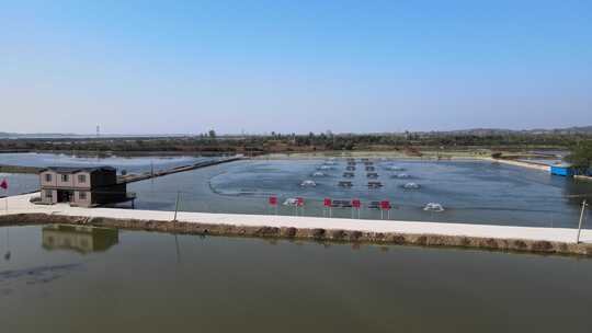 武汉梁子湖螃蟹养殖基地航拍