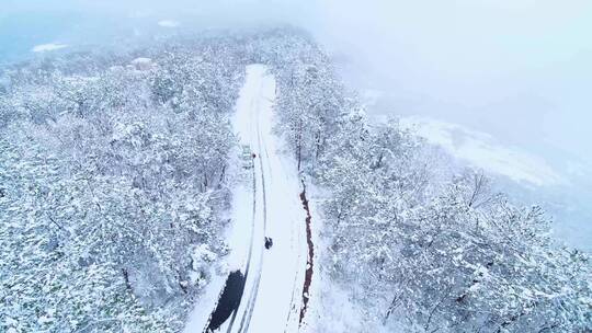 森林雪景