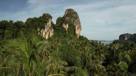 泰国甲米莱雷热带雨林棕榈树航拍自然风光