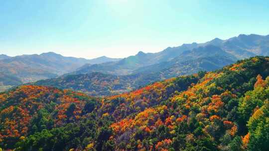 航拍色彩缤纷的辽宁千山秋景