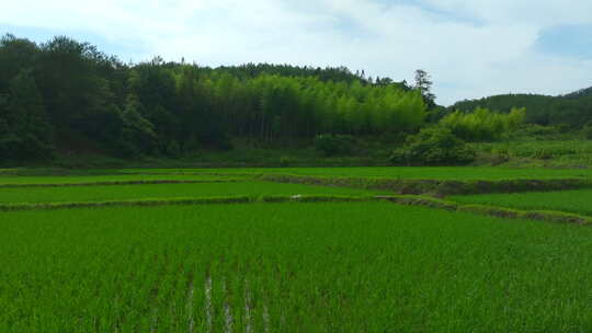 田野 航拍 降落 2