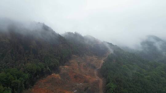 重庆山火后，北碚缙云山迎来降雨，云雾缭绕