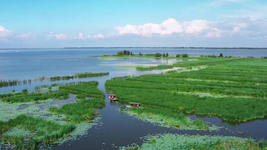 查干湖夏季湿地游船穿行芦苇间