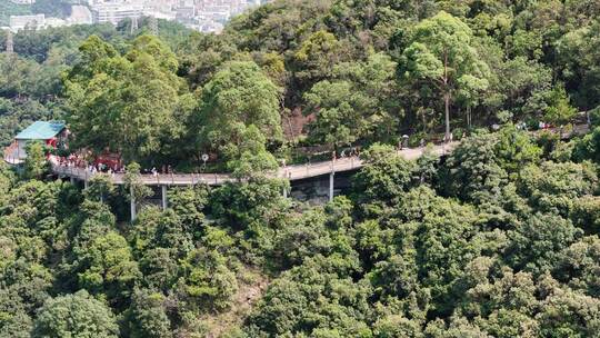 广东观音山国家森林公园第十二届登山大赛