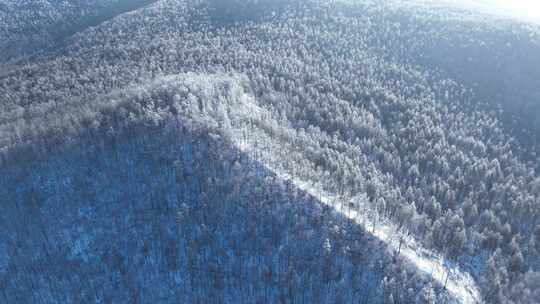 大兴安岭银色林海雪原合集