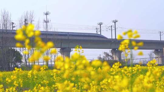 杭州临平春天油菜花花田高铁驶过慢镜头