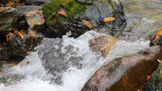 【合集】秋天的森林山泉溪水 水资源