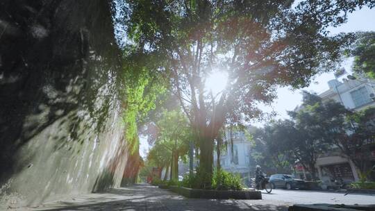 城市宣传视频路边行道榕树透过阴影阳光