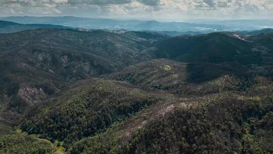 防火安全大火烧山后枯黑的森林视频素材模板下载