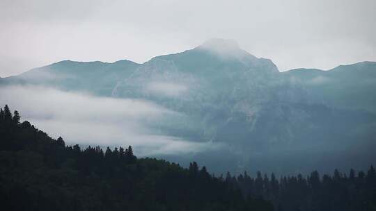 山峰森林云雾