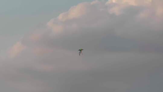 风筝在城市上空中迎风飞翔视频素材模板下载