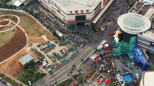 昆明斗南花卉交易市场航拍