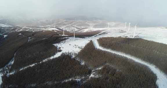 张家口崇礼雪山森林4k