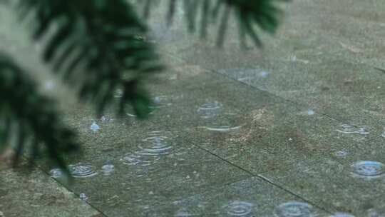 夏日雨下雨特写落雨唯美 意境情绪疗愈素材