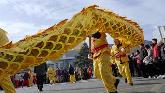 节日舞龙庆祝