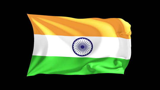 循环挥舞的旗帜印度
