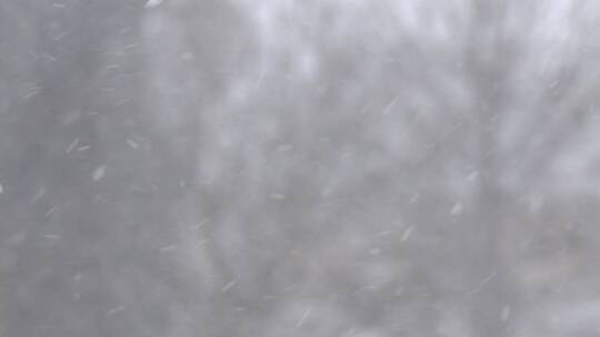 冬季场景中的降雪视频素材模板下载