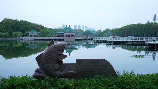 武汉东湖风景区碧潭观鱼