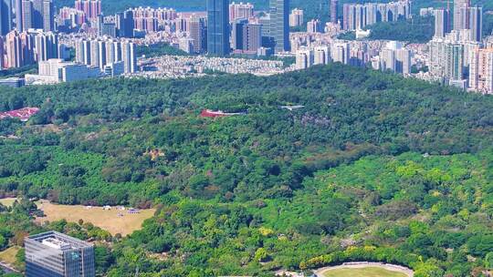 深圳市福田区莲花山公园航拍广东省莲花街道