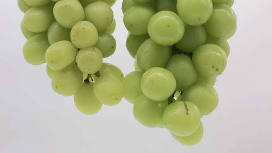 绿葡萄特写素材