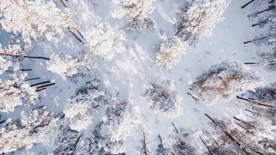 冬天唯美雪景