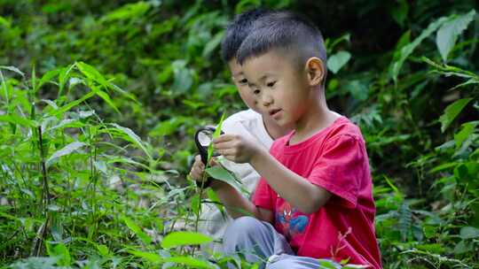 儿童探索大自然好奇观察