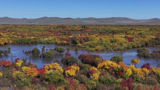 秋季森林河流自然风光