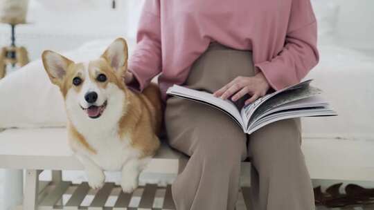 女子在家中坐着看书，旁边有只柯基犬