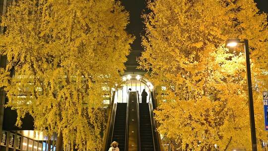 合集-杭州大厦天桥银杏电梯夜景实拍